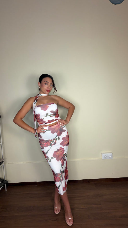 Conjunto tul rosales