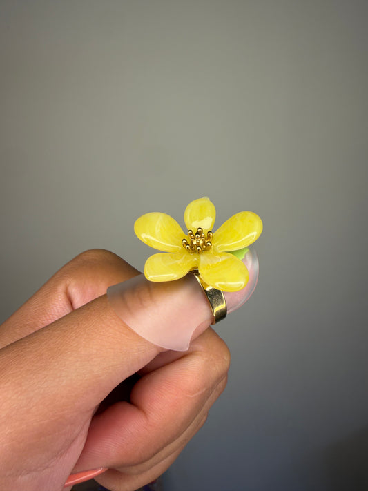 Anillos ajustables para todas