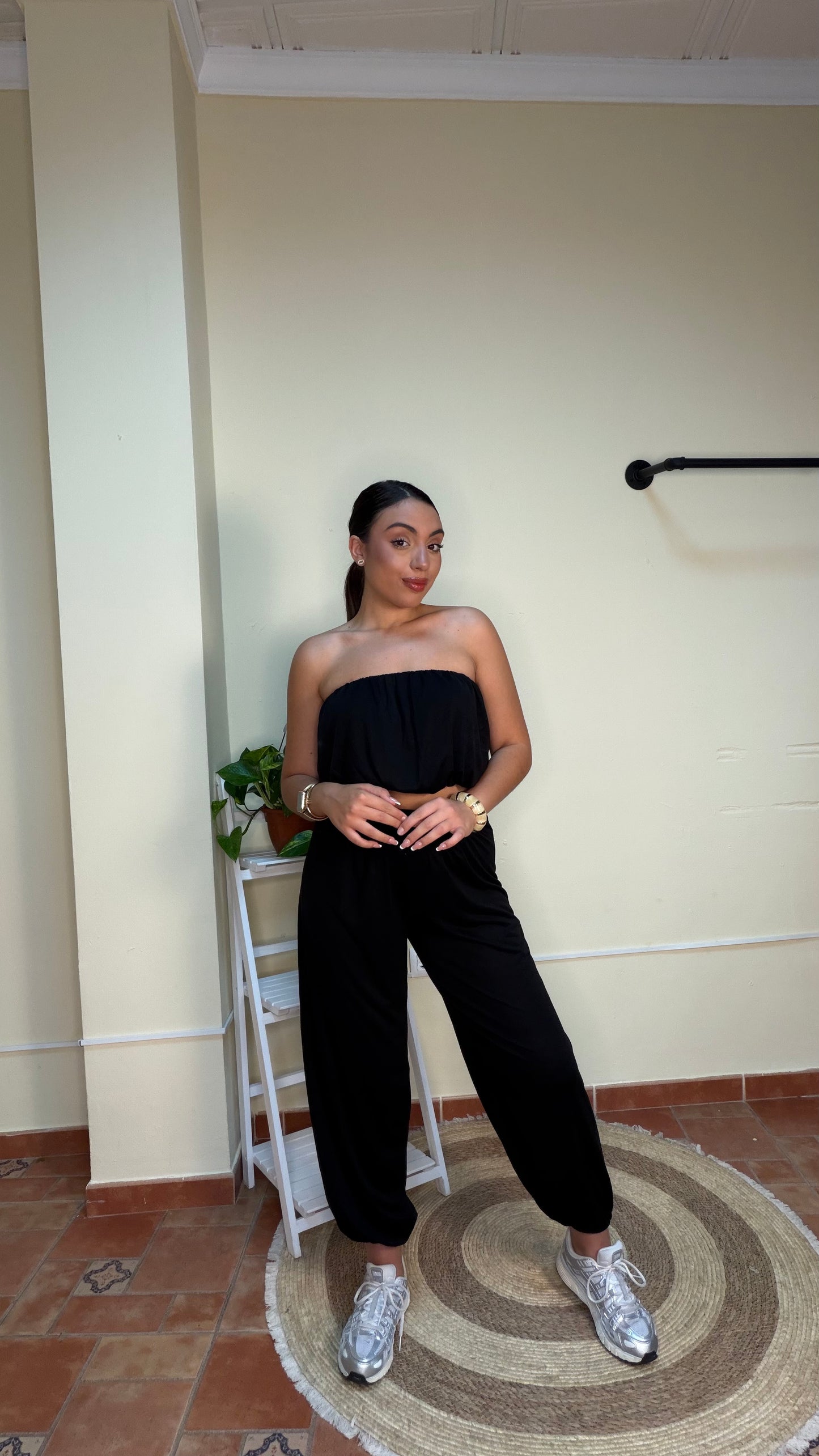 Conjunto Alegría