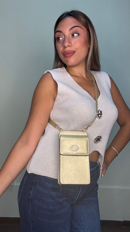 Bolso Gucci Inspo
