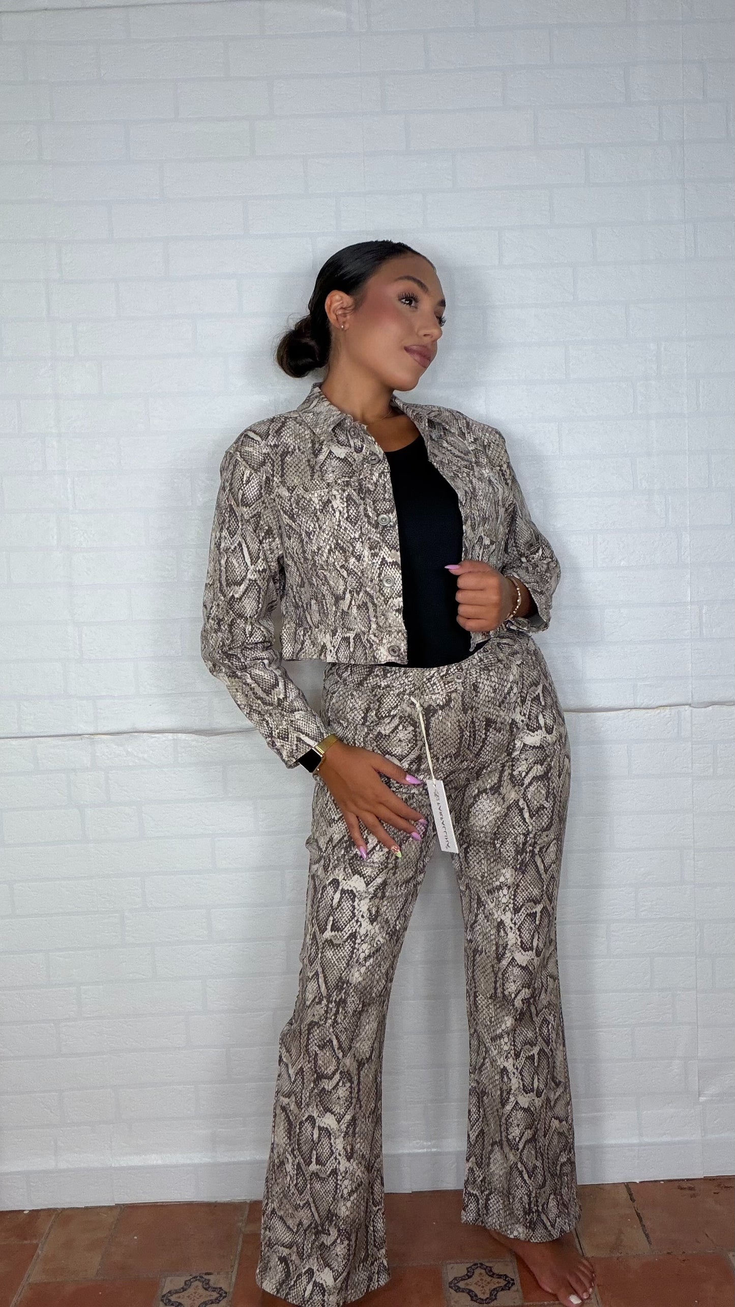 Conjunto Serpiente